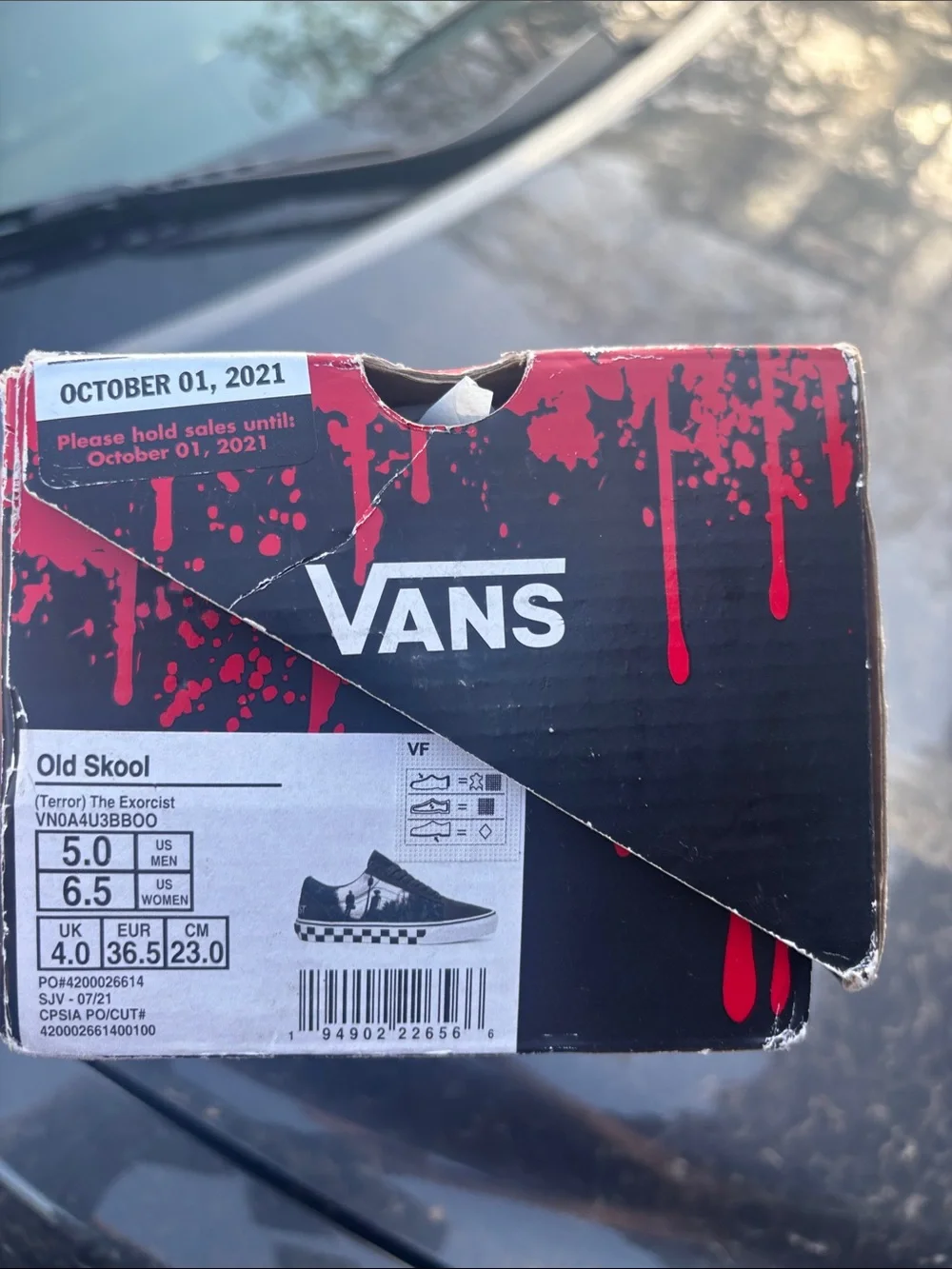 House of terror vans